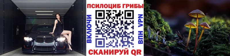 Купить где  Барыш  Галлюциногенные грибы мухоморы 